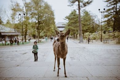 60分钟不遮不挡免费直播