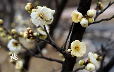 《一边做饭一边燥日剧》