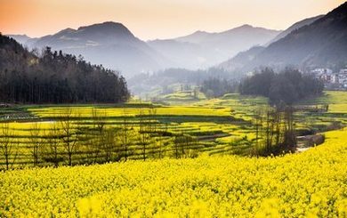 《太平公主秘史》台湾版