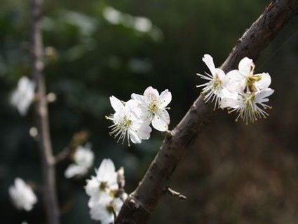 《穴居》笔趣阁