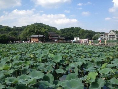 《苹果》全集在线观看