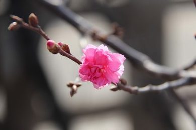 刘芊含真实年龄