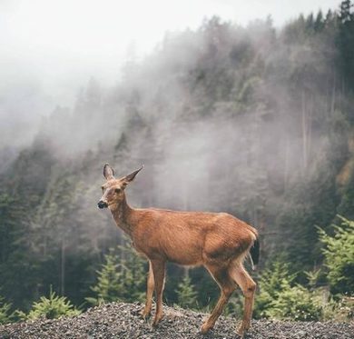 十大绝美山水风景