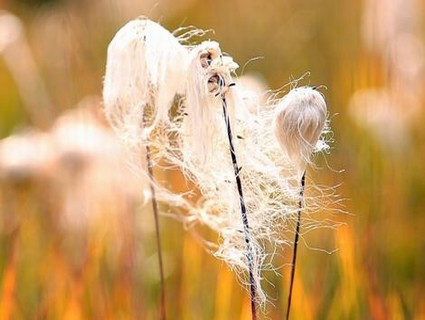 喷浆车打浆视频