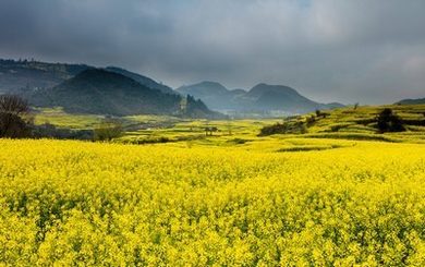 小宝花探全集