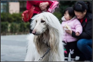 直播刷礼物加时长的软件