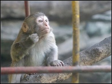 神宫寺思绪全部电影