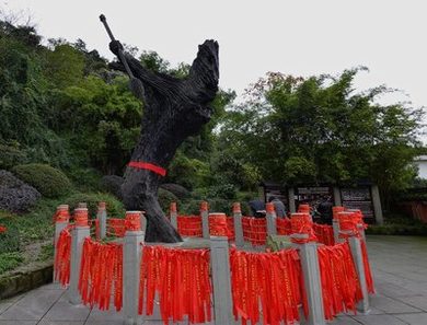 老医生给村长闺女看病