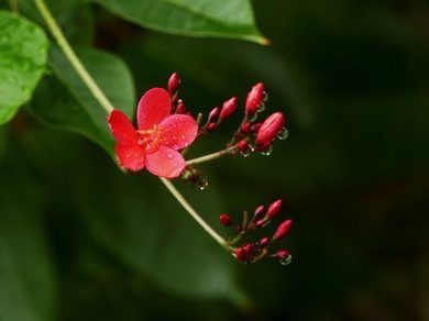 范冰冰范丞丞同框