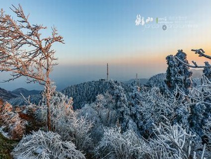 雪花那个飘全集免费观看